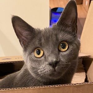 Meet your Posher, Megumi